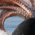click to see full image