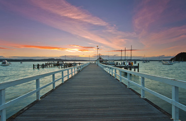 The Winterless North Image 4