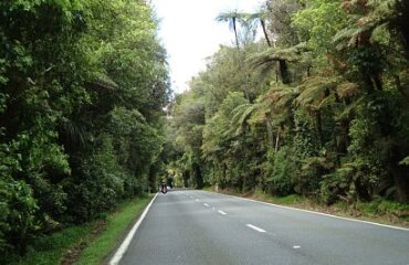Wellington to Auckland Explorer Tour Image 2
