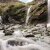 click to see full image
