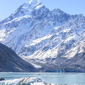 New Zealand Highlights