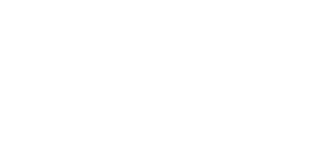 New Zealand Self Drive Logo