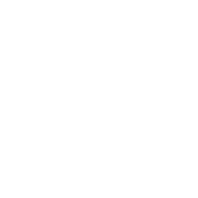 Customised Tours
