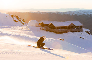 Explore Wanaka and Cardrona Alpine Resort - Day 3