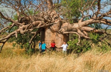 NZ self drive itineraries and package holidays