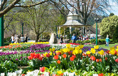 New Zealand holidays & tours