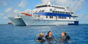 Oceanquest Liveaboard Experience
