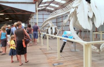 Outback Spirit - South Western Explorer - Day 6