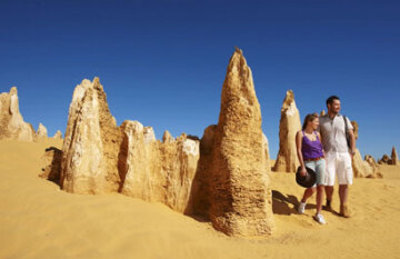 Autopia Tours: Ningaloo Whale Shark Tour - Day 1