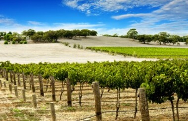 See all of New Zealand with a tailor-made package holiday