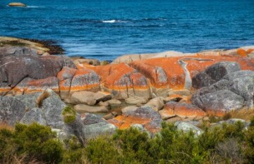 The Best of Tasmania Tour - Day 8