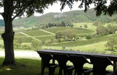 Discover everything New Zealand has to offer with these great vacation packages