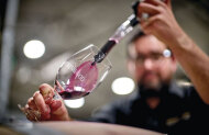 Hunter Valley Brokenwood Taste Tour