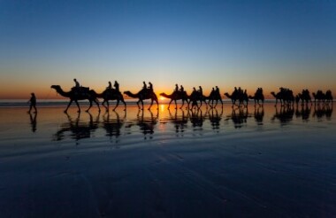 See all of New Zealand with a tailor-made package holiday
