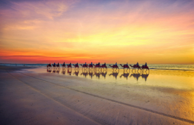 New Zealand holidays & tours