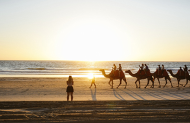 Discover everything New Zealand has to offer with these great vacation packages