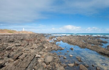 South Coast Explorer Tour - Day 1
