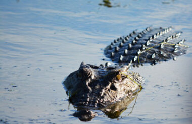 NZ self drive itineraries and package holidays