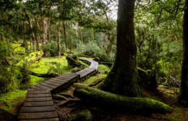 Exploring New Zealand's incredible scenery