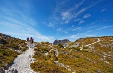 Experience the best of New Zealand with these touring ideas