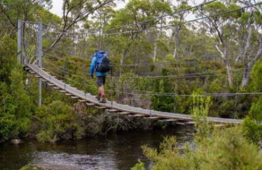 Experience the best of New Zealand with these touring ideas