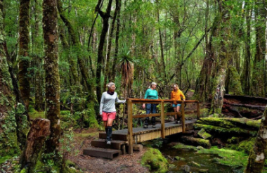 Exploring New Zealand's incredible scenery