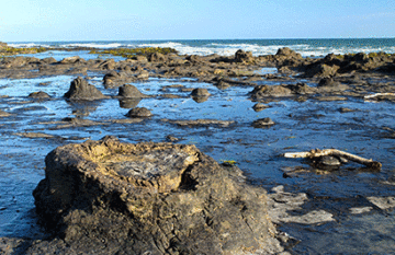 Discover South Island Package - Day 6