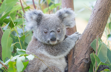 Explore New Zealand with these great holiday ideas