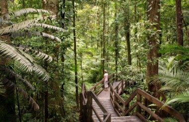 Discover everything New Zealand has to offer with these great vacation packages