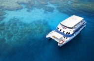 Oceanquest Overnight Reef Experience
