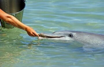 VIA Travel: Best Of The West & Ningaloo Reef - Day 3
