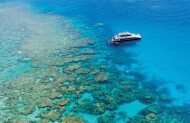 Outer Barrier Reef Cruise and 35 Minute Guided Snorkel with Dreamtime Dive - Lunch Included