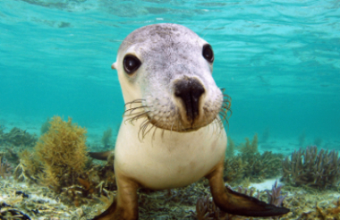 Explore New Zealand with these great holiday ideas