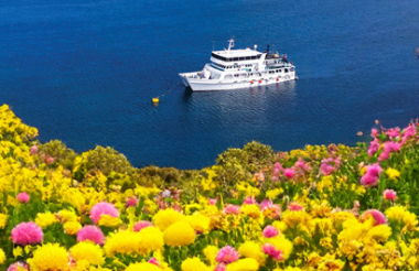See all of New Zealand with a tailor-made package holiday