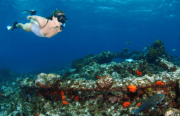Eco Abrolhos Cruises: The Abrolhos Islands - Day 1