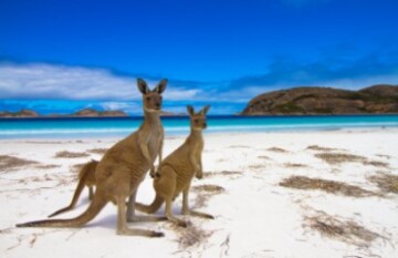 West Australian Explorer Tour - Day 10