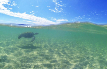 VIA Travel: Best Of The West & Ningaloo Reef - Day 8
