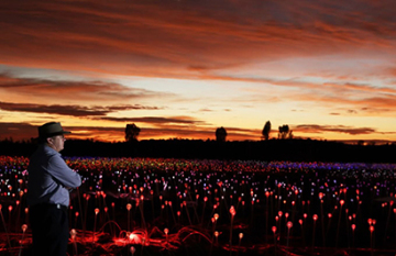 Journey Beyond: Red Centre Spectacular - Day 7