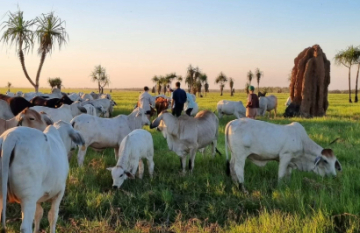 The Ghan Meets Luxury Lodges Experience - Day 19