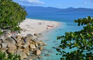 Fitzroy Island Transfer and Glass Bottom Boat Tour with Fitzroy Island Adventures