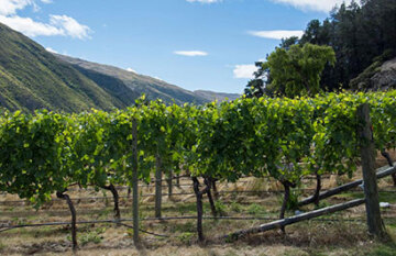 Alpine Food and Wine Tour - Day 5