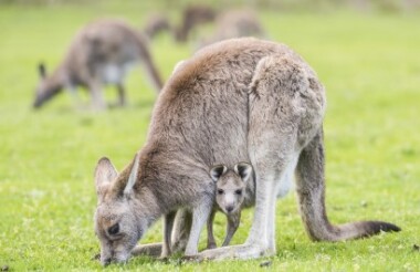 Experience the best of New Zealand with these touring ideas