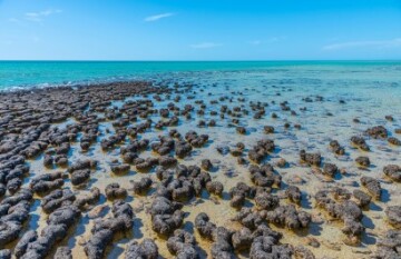 VIA Travel: Best Of The West & Ningaloo Reef - Day 7