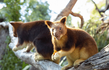 Explore New Zealand with these great holiday ideas
