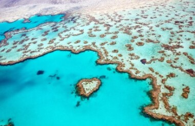 Discover everything New Zealand has to offer with these great vacation packages
