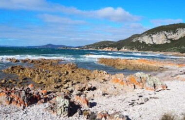 Explore New Zealand with these great holiday ideas