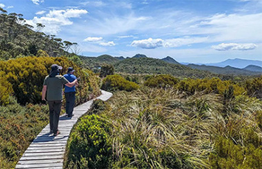 NZ self drive itineraries and package holidays