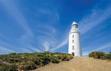 Discover everything New Zealand has to offer with these great vacation packages