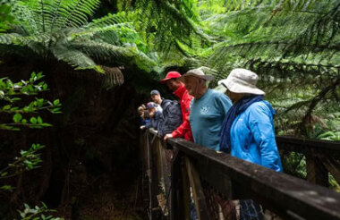 See all of New Zealand with a tailor-made package holiday
