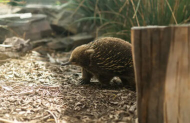 New Zealand holidays & tours